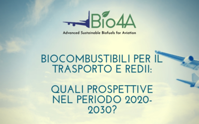 Biocombustibili per il trasporto e REDII: quali prospettive nel periodo 2020-2030?