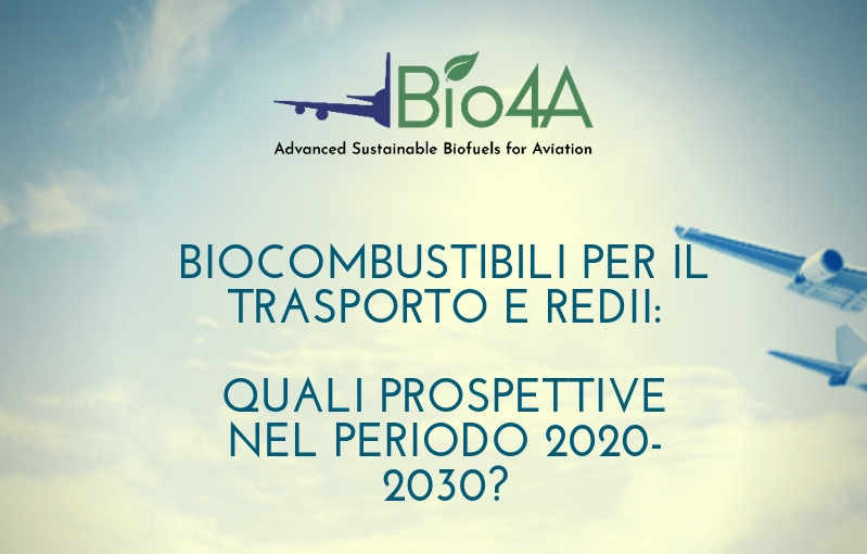 Biocombustibili per il trasporto e REDII: quali prospettive nel periodo 2020-2030?