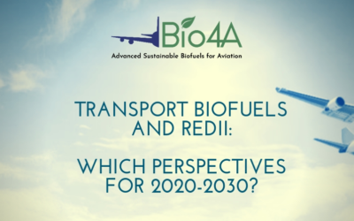 Transport Biofuels and REDII: which perspectives for 2020-2030?