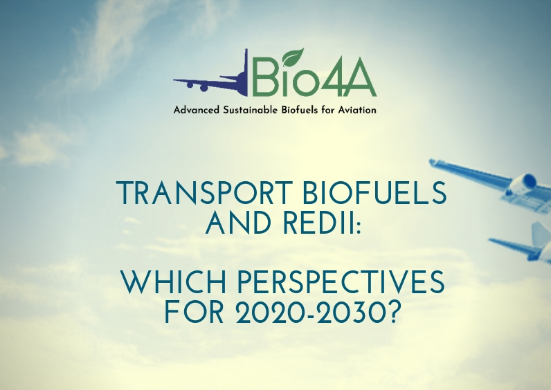 Transport Biofuels and REDII: which perspectives for 2020-2030?