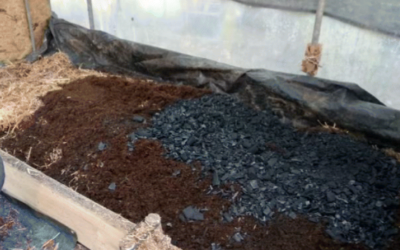 “Production and characterization of co-composted biochar and digestate from biomass anaerobic digestion” published on Biomass Conversion and Biorefinery