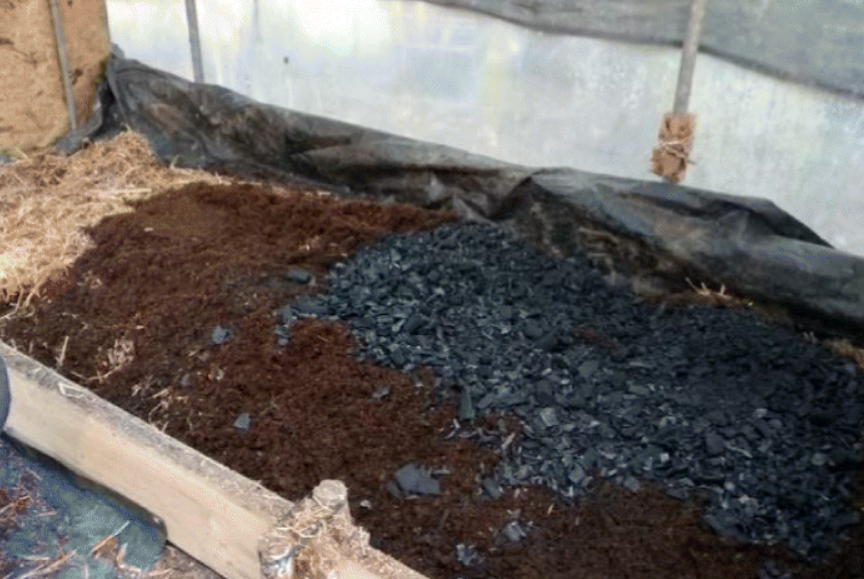 “Production and characterization of co-composted biochar and digestate from biomass anaerobic digestion” published on Biomass Conversion and Biorefinery